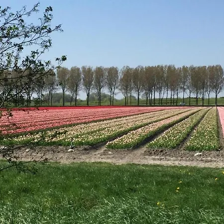 Rekerlanden 161